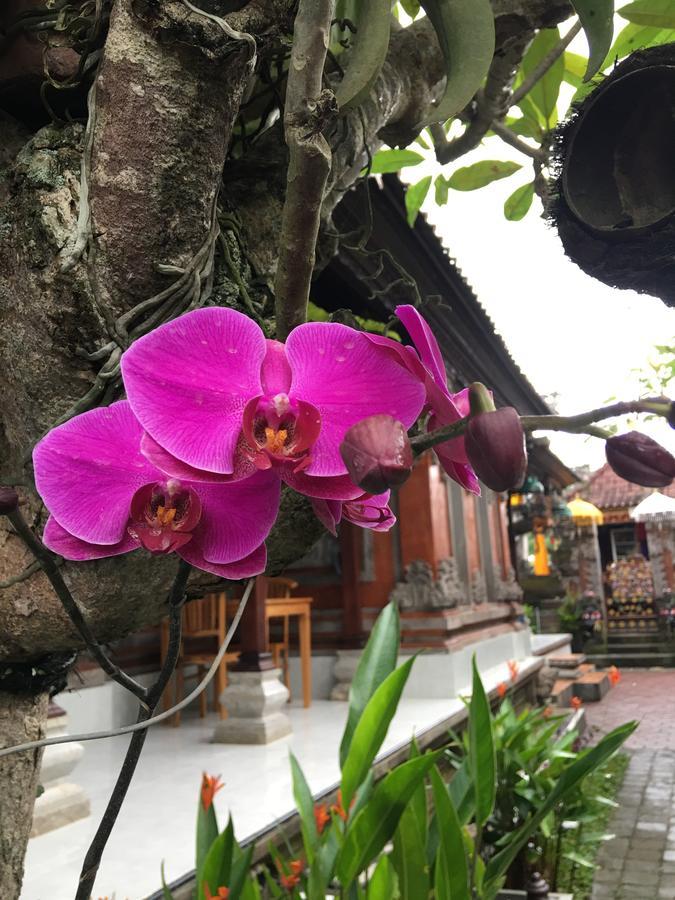 Local Family House Hotel กีอันยาร์ ภายนอก รูปภาพ