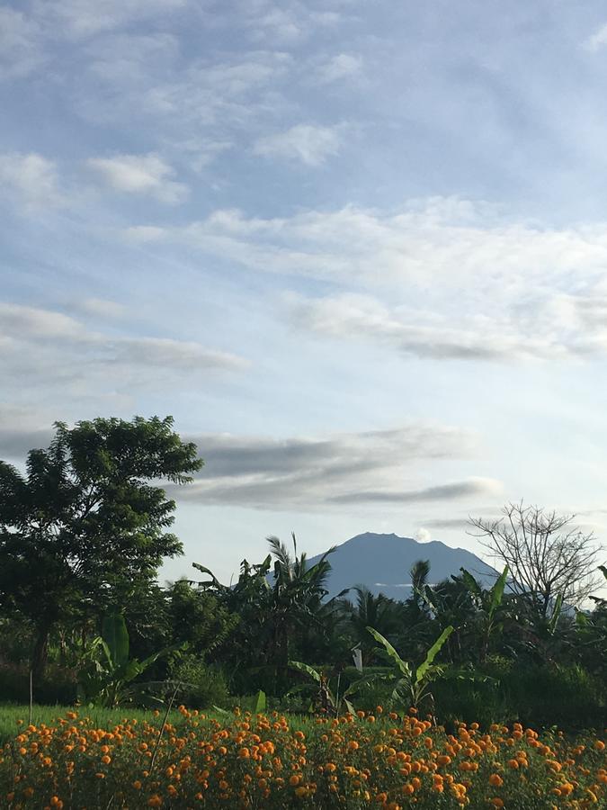 Local Family House Hotel กีอันยาร์ ภายนอก รูปภาพ