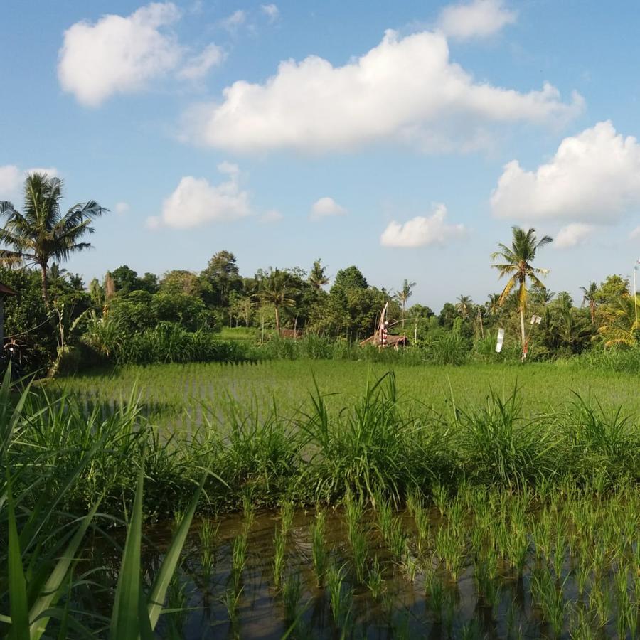 Local Family House Hotel กีอันยาร์ ภายนอก รูปภาพ